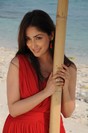 Yami Goutham New Photos